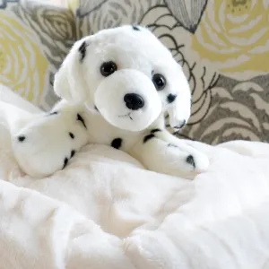 Dalmatian Plush