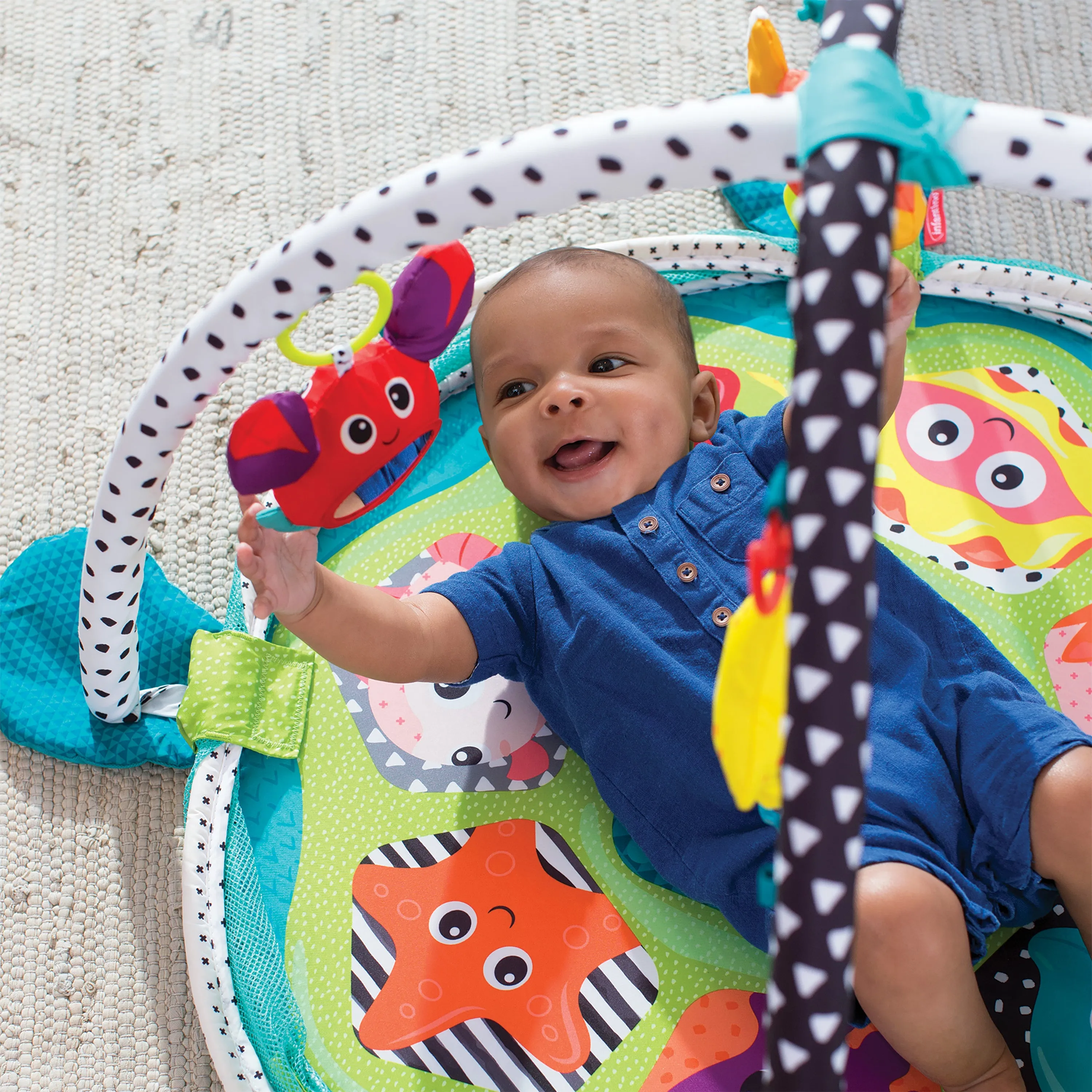 Grow-With-Me Activity Gym & Ball Pit™