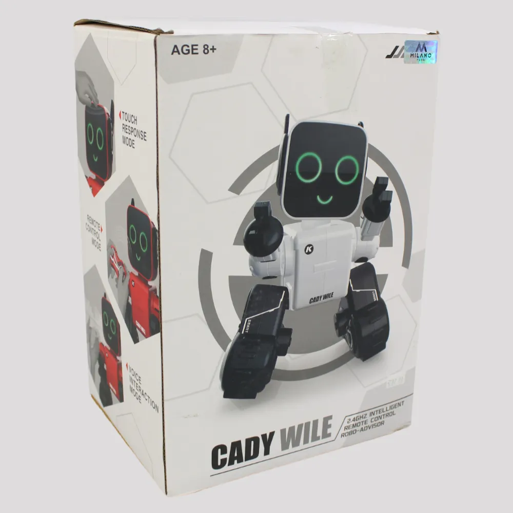 Intelligent RC Robot