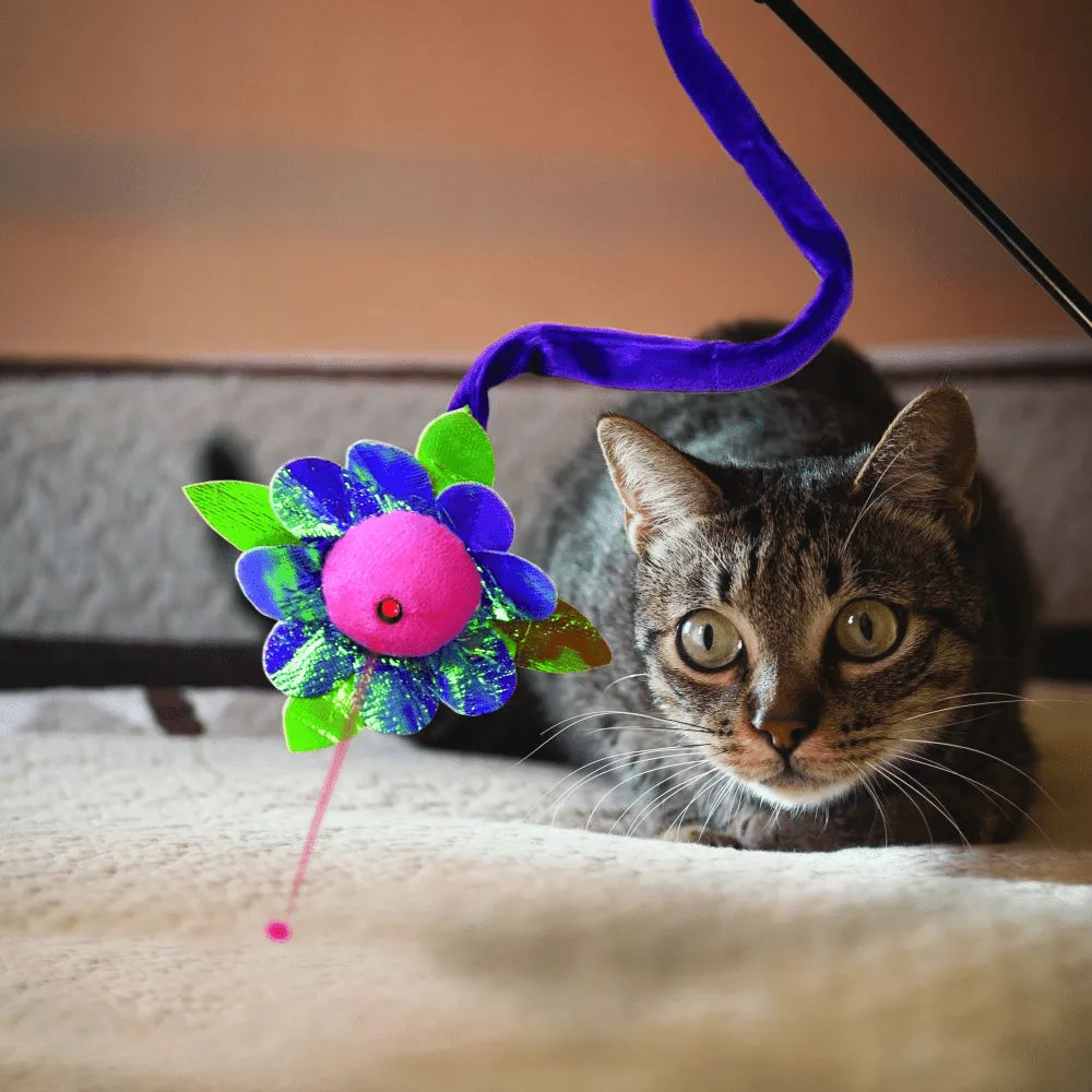 Kong Laser Teaser Characters Toy for Cats