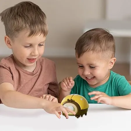 Rechargeable Mini Ball Blowing Ladybug Toy