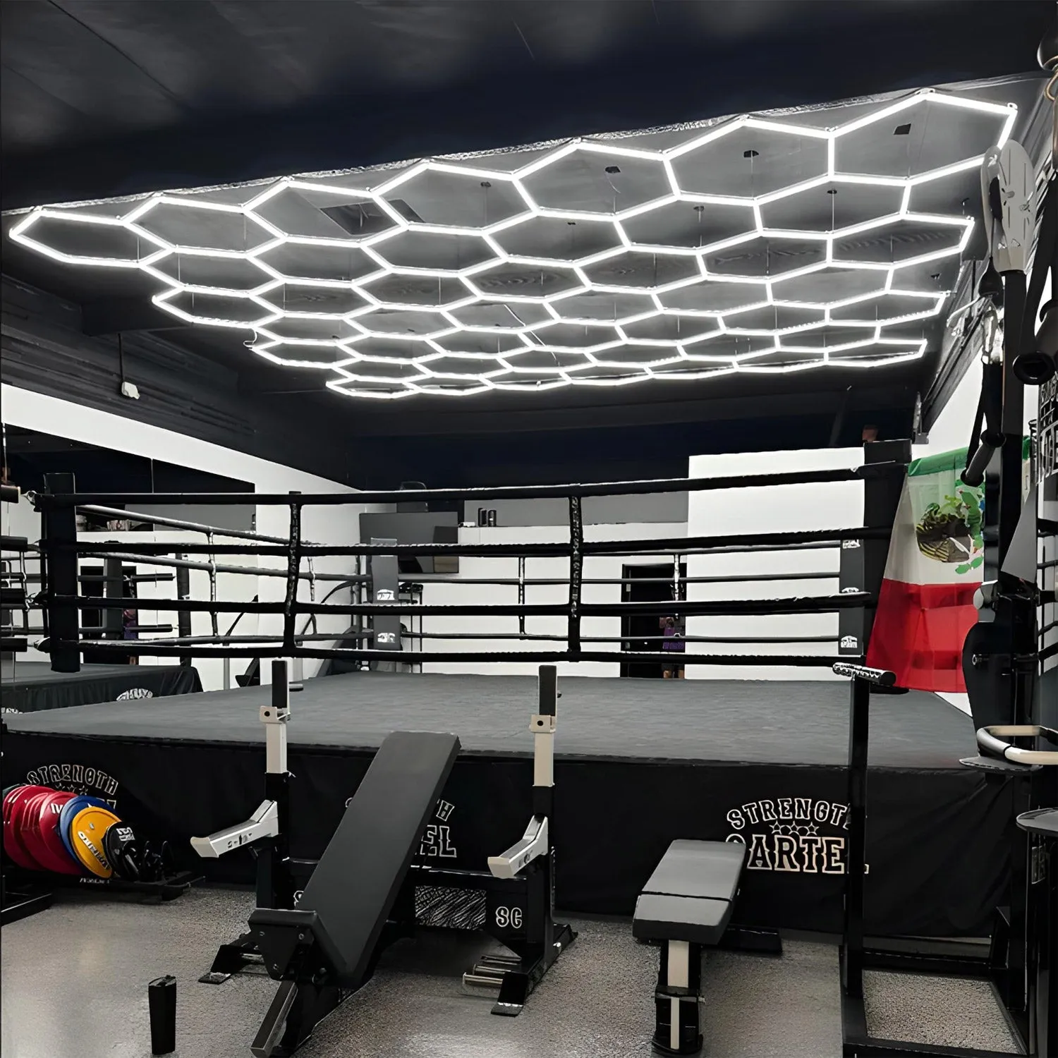 RGBW Honeycomb Modular Suspended Light Wall Lights
